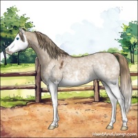 Horse Color:White Spotted Liver Red Dun Splash 