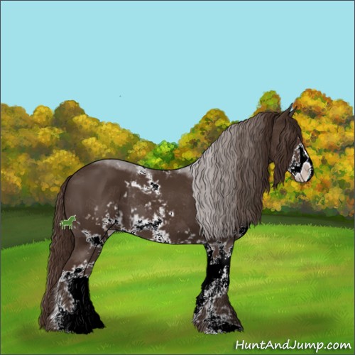 Horse Color:Liver Chestnut Sabino