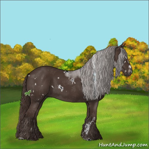 Horse Color:White Spotted Liver Chestnut Sabino 