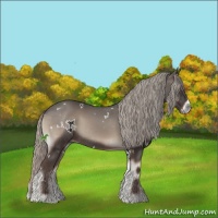 Horse Color:White Spotted Silver Blue Onyx 