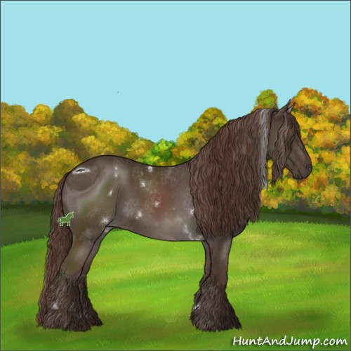 Horse Color:ERROR: UNKNOWN ANOMALY