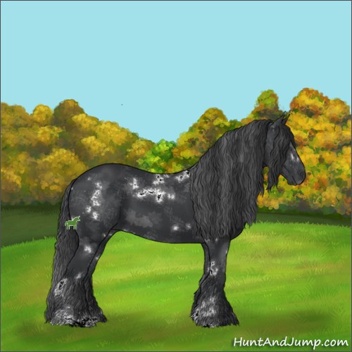 Horse Color:White Spotted Black Sabino