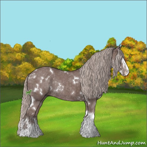 Horse Color:White Spotted Chocolate Silver Black Splash Rabicano