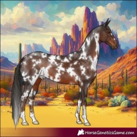 Horse Color:White Spotted Liver Chestnut 