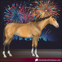 Horse Color:Buckskin 