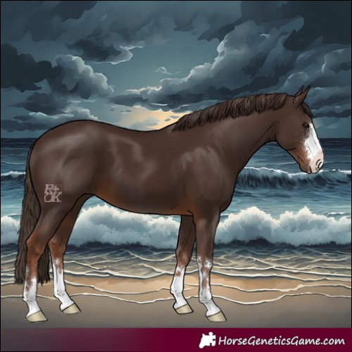 Horse Color:Liver Chestnut 