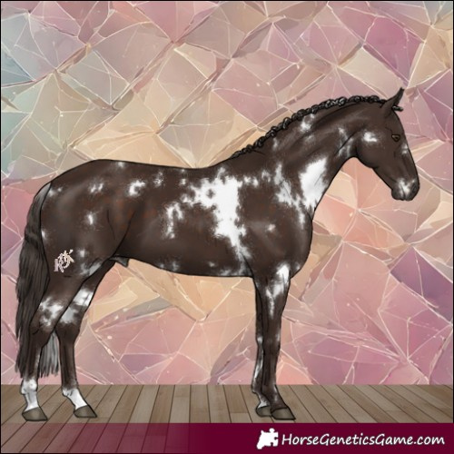 Horse Color:White Spotted Liver Chestnut 