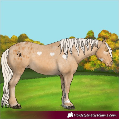 Horse Color:Palomino Sabino Varnish