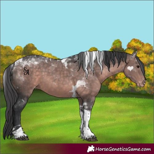Horse Color:Platinum Bay Tobiano Varnish Rabicano 