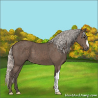 Horse Color:Silver Black 