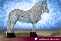 Horse Color:ERROR: UNKNOWN ANOMALY