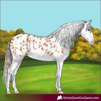 Horse Color:Bay Frame Blanket 