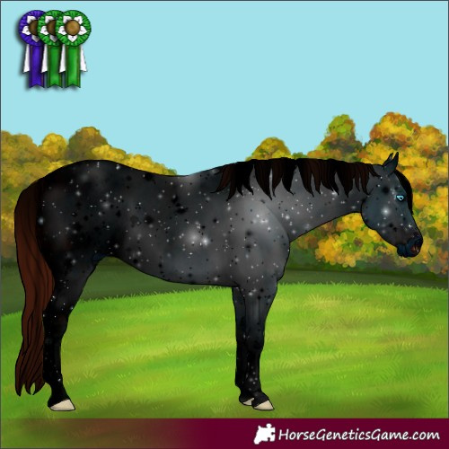 Horse Color:ERROR: UNKNOWN ANOMALY