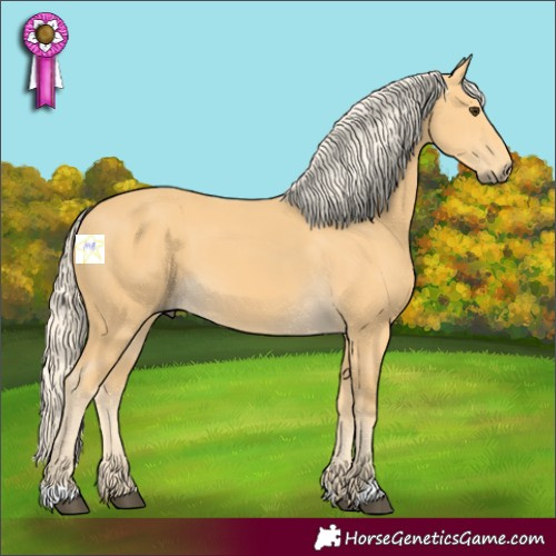 Horse Color:Palomino
