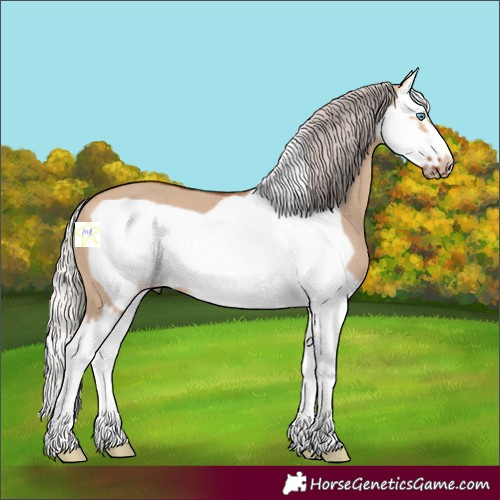 Horse Color:Silver Bay Dun Splash Frame 