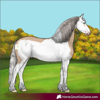 Horse Color:Silver Bay Dun Splash Frame 