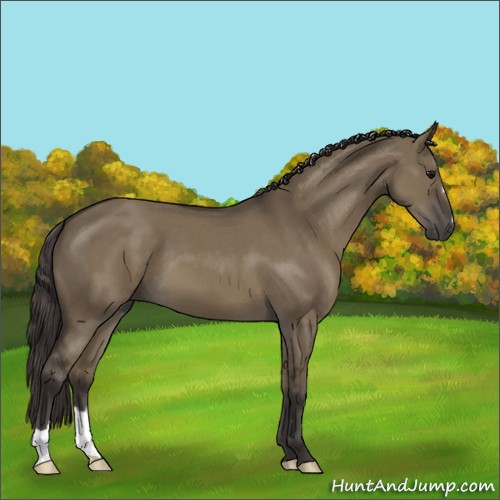 Horse Color:Smoky Grullo 