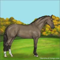 Horse Color:Smoky Grullo 
