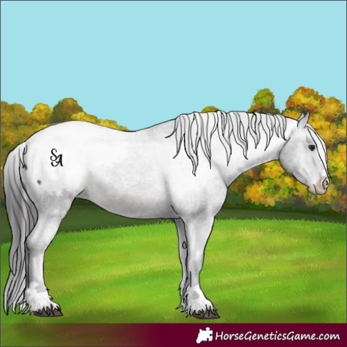 Horse Color:Platinum Brown Snowcap 