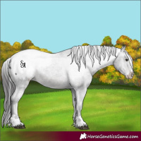 Horse Color:Platinum Brown Snowcap 