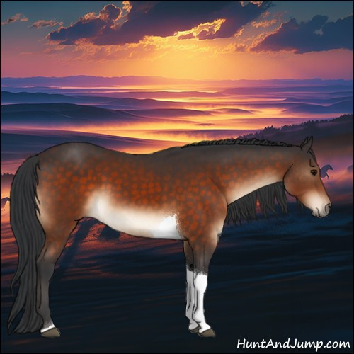 Horse Color:Brown Sabino Tobiano Rabicano 