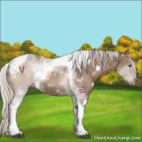 Horse Color:White Spotted Chocolate Silver Black Tobiano