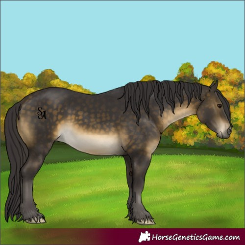 Horse Color:Buckskin 