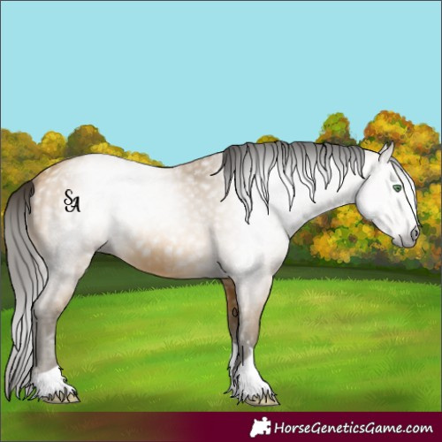 Horse Color:Gray Amber Cream Champagne 