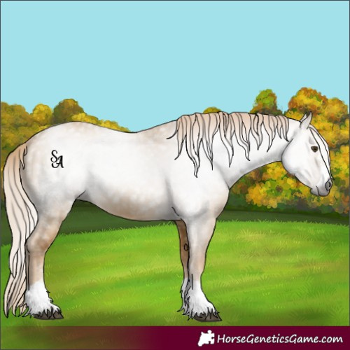 Horse Color:Gray Palomino Dun 