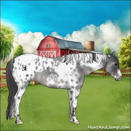 Horse Color:Blue Roan Tobiano Frame Blanket 