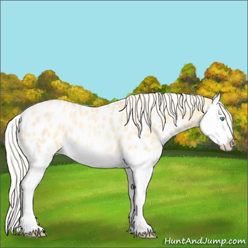 Horse Color:Palomino Pearl Splash Appaloosa 