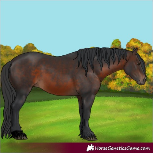 Horse Color:Void Brown 