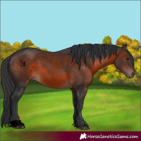 Horse Color:Void Brown 