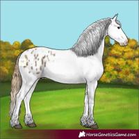 Horse Color:White Spotted Buckskin Ice Blanket