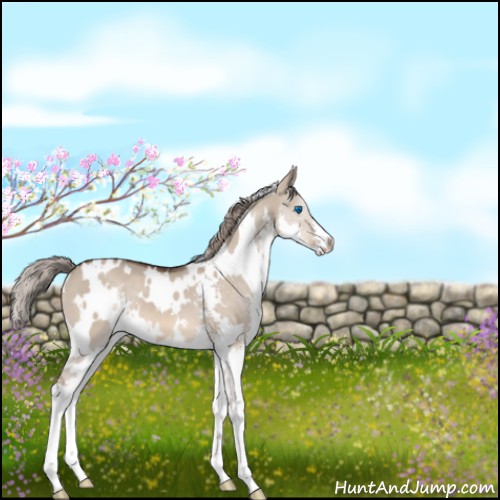 Horse Color:White Spotted Liver Red Dun Splash 