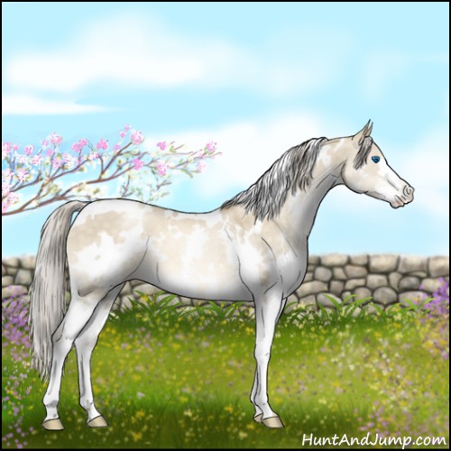 Horse Color:White Spotted Chocolate Palomino Pearl Dun Splash 