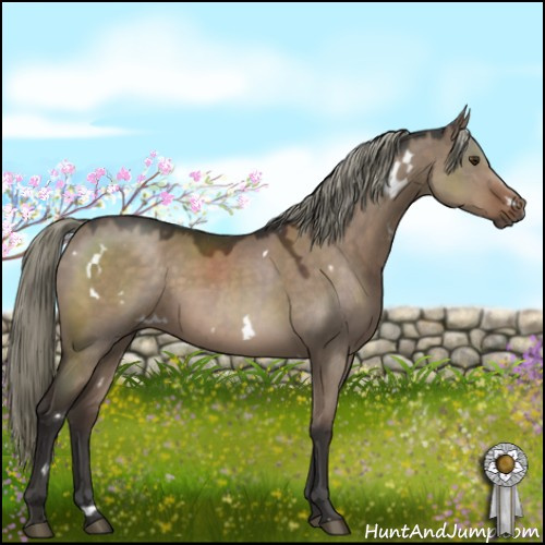 Horse Color:White Spotted Liver Red Dun Mushroom 