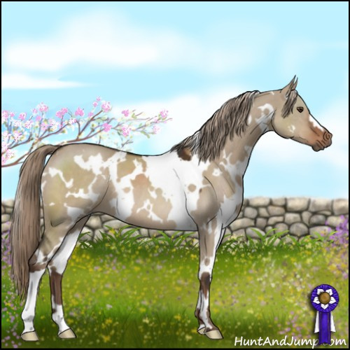 Horse Color:White Spotted Liver Red Dun 