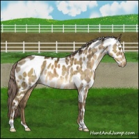Horse Color:Chocolate Palomino Dun Leopard Brindle 