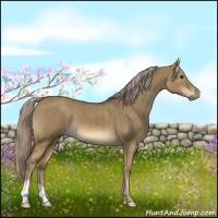 Horse Color:Chocolate Palomino Dun Brindle 