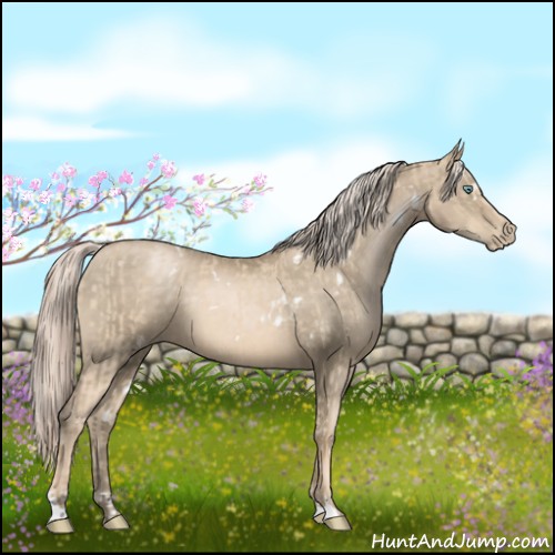 Horse Color:Cremello  and White Spotted Chocolate Palomino Pearl 