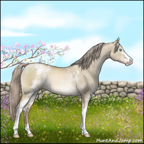 Horse Color:White Spotted Chocolate Palomino Pearl Dun 