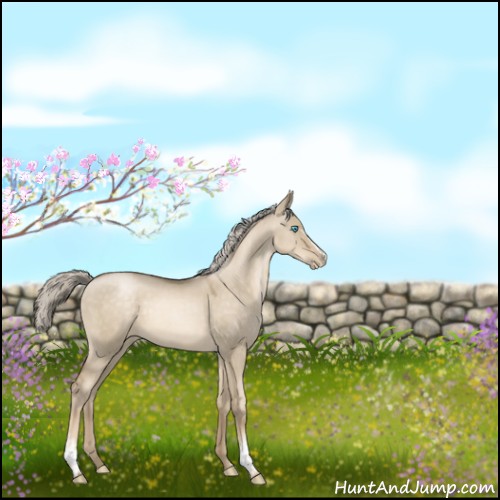 Horse Color:White Spotted Chocolate Palomino Pearl Dun 