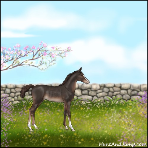 Horse Color:Liver Chestnut Sabino Rabicano 