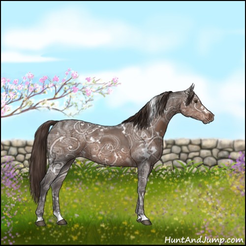 Horse Color:White Spotted Liver Chestnut Ice 