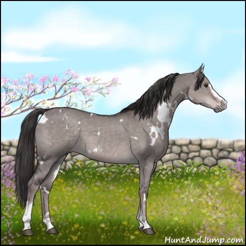 Horse Color:Platinum White Spotted Liver Red Dun Sabino 