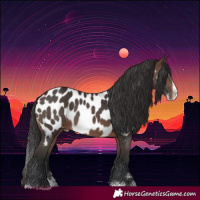 Horse Color:Brown Splash Near Leopard 
