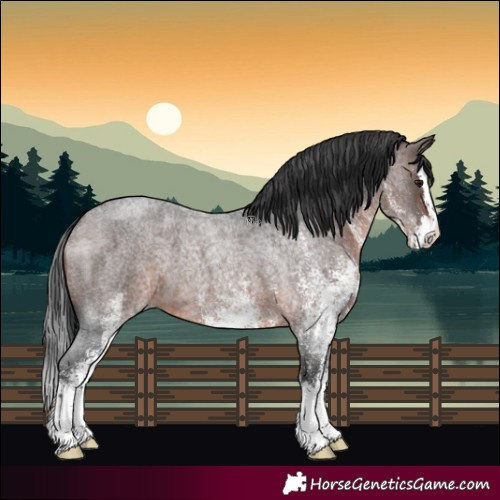 Horse Color:White Spotted Brown Roan Splash 