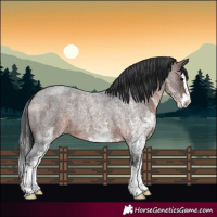 Horse Color:White Spotted Brown Roan Splash 
