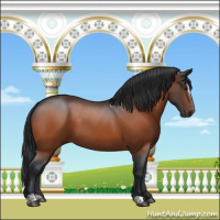 Horse Color:Brown Sabino